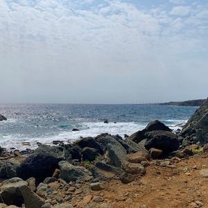 Meet your Posher, Cierra